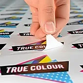 Baskes Etiket, Folyo kesim Samsun